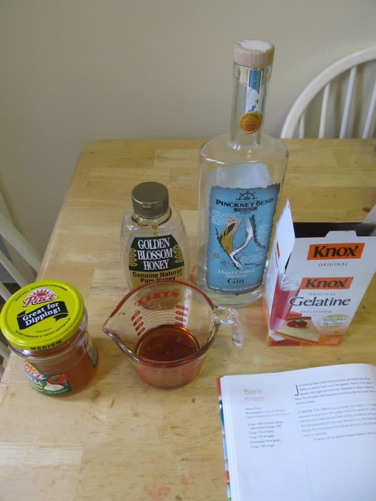 Ingredients of Bees Knees shots: Lemon syrup (still not salsa), honey (shown twice because I measured it before I took this picture), gin, gelatin, cookbook.