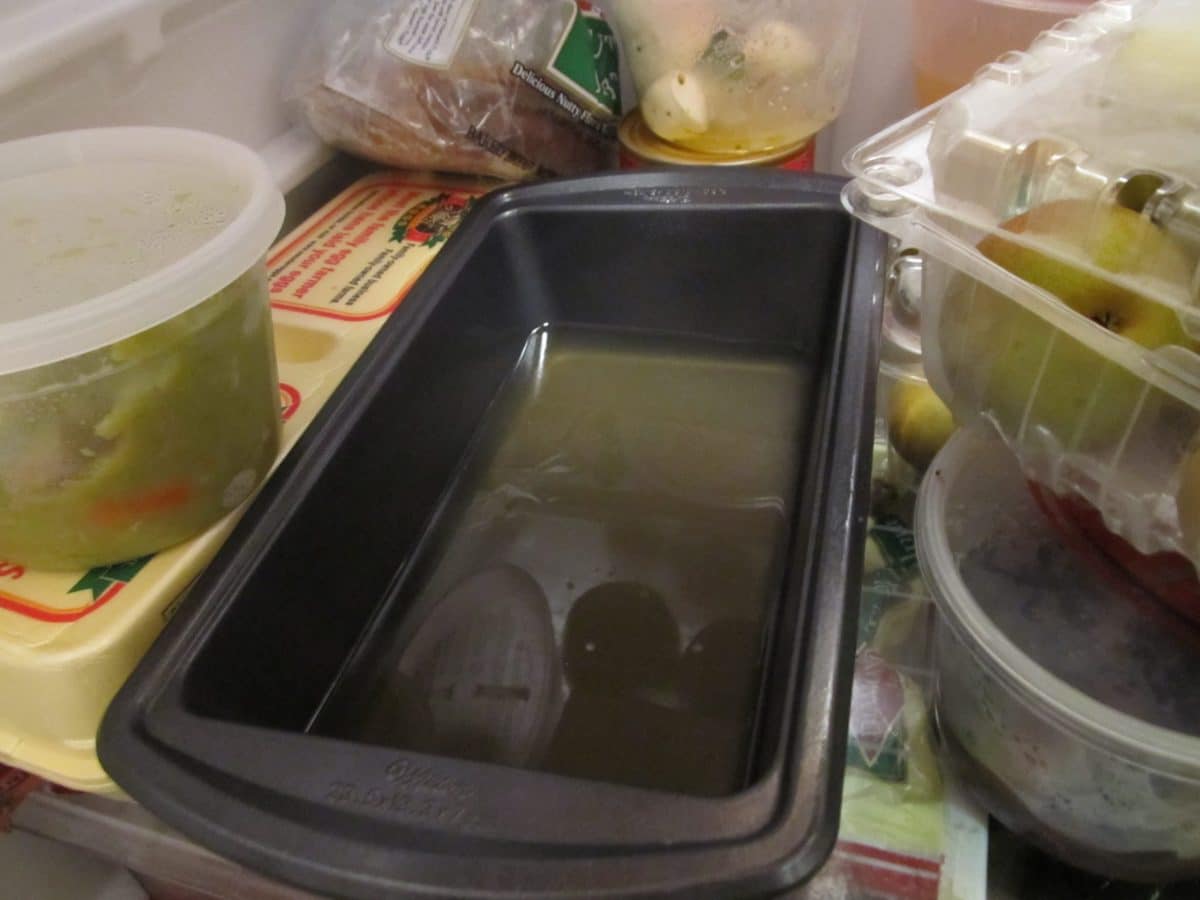 Jello Shots with Gin Tom Collins Jelly Shot by the GIN is IN