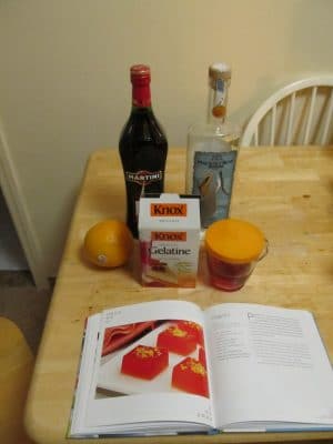 Ingredients in a Negroni Jello shot