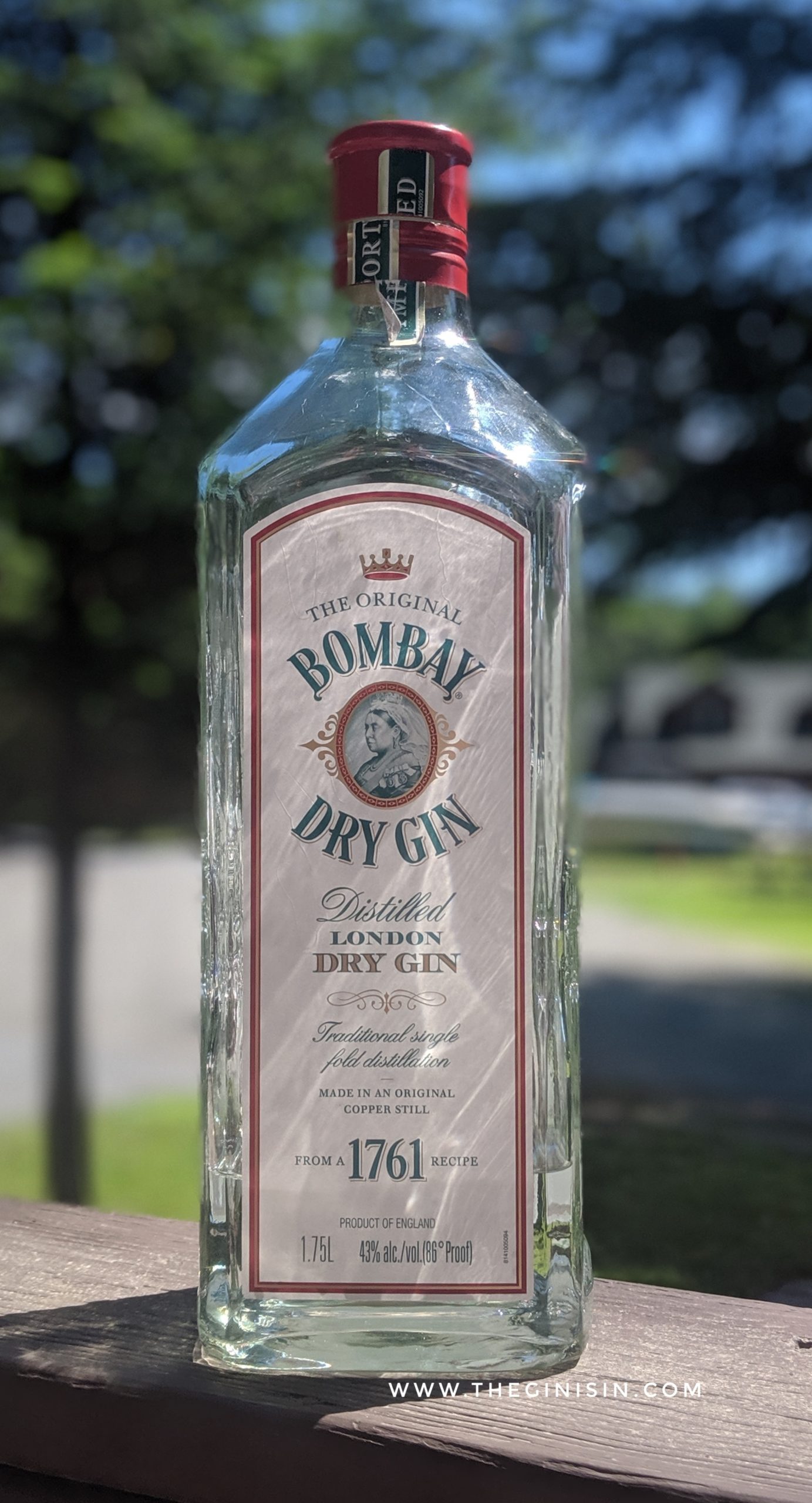 Bombay Dry Gin | Expert Gin Review and Tasting Notes