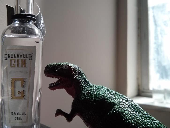 Review of Endeavour Gin by the GIN is IN.