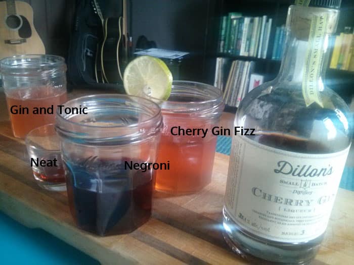 Dillon's Cherry Gin Review and Rating the GIN is IN