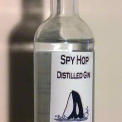 Spy Hop Gin Bottle