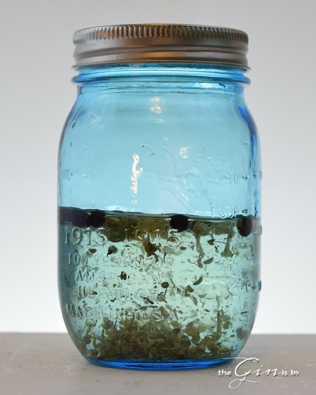 Blue Ruin Maceration