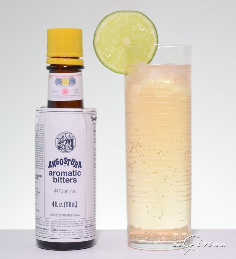 Angostura Gin and Tonic