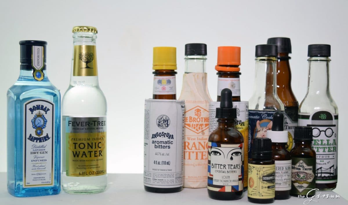 Top 10 Gin and Tonic With Bitters by the GIN is IN
