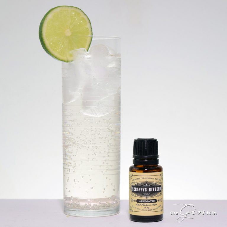 Top 10 Gin and Tonic With Bitters by the GIN is IN