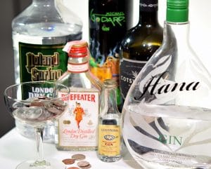 Looking for gins under $20