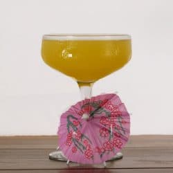 Paradise Cocktail