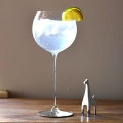 The Evans, or Evans Gin and Tonic