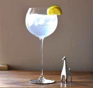 The Evans, or Evans Gin and Tonic