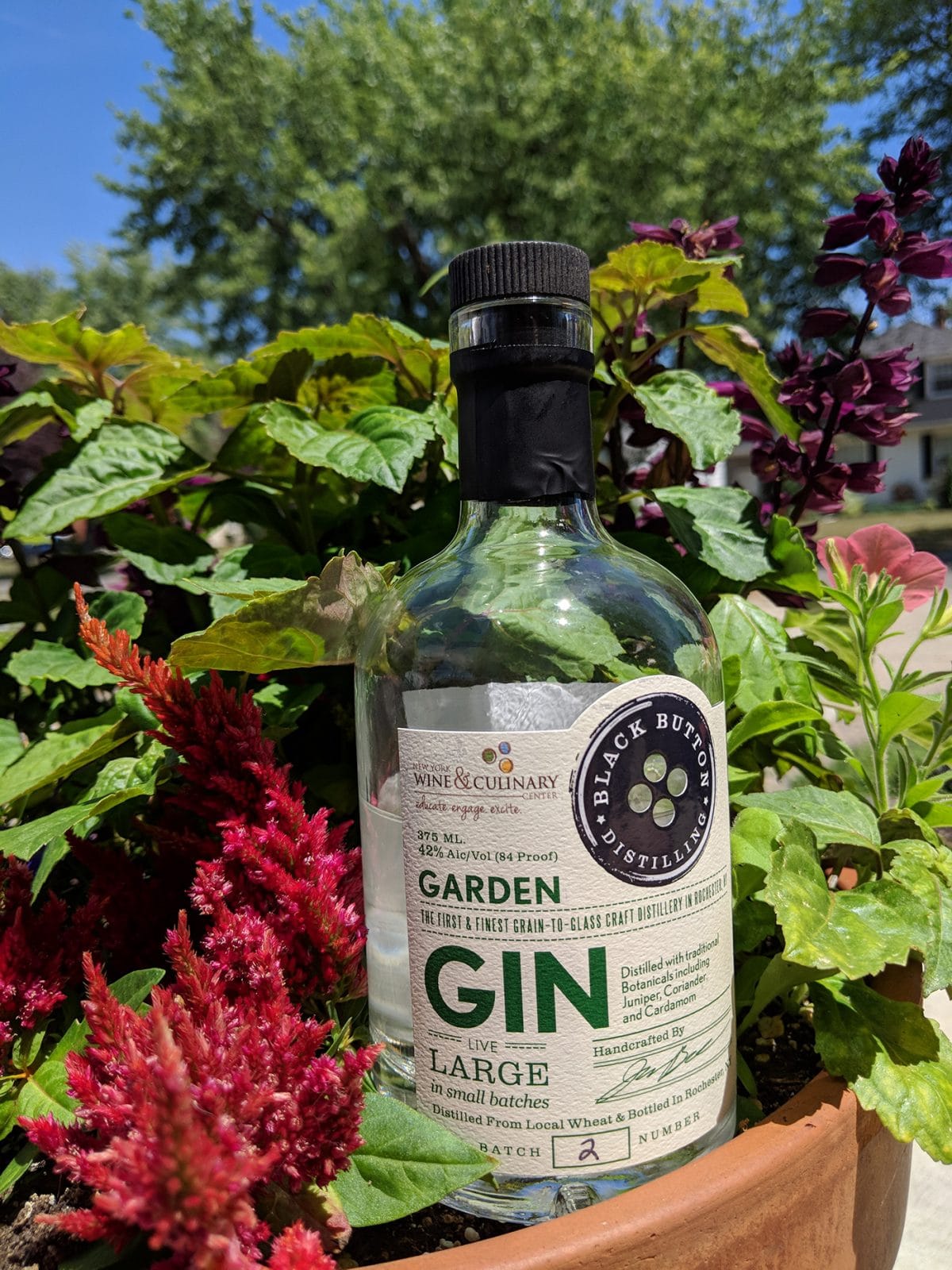 Black Button Garden Gin Expert Gin Review and Tasting Notes