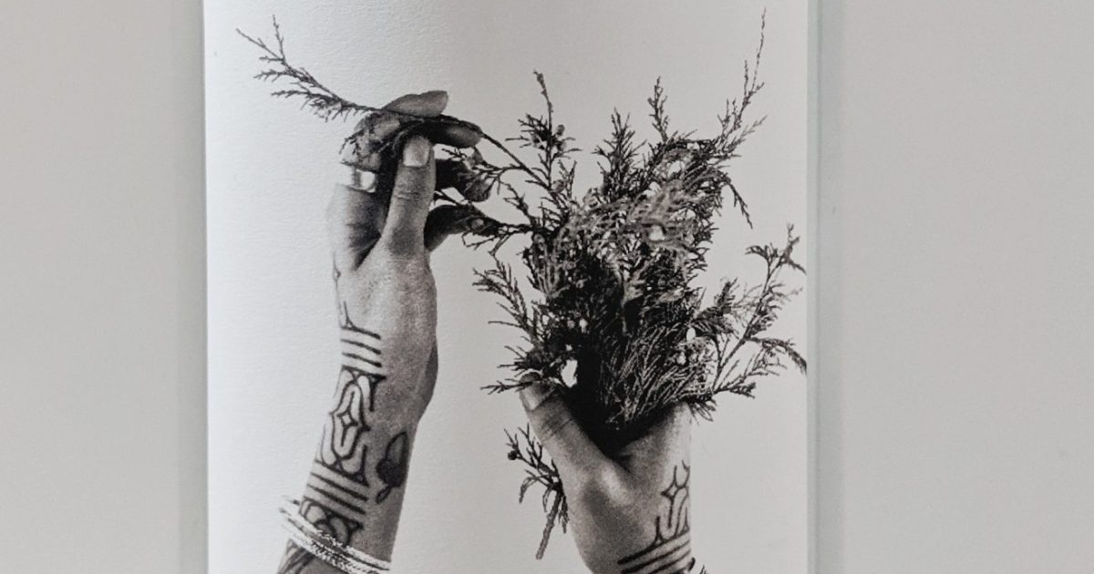 Juniper Jones Gin Expert Gin Review and Tasting Notes