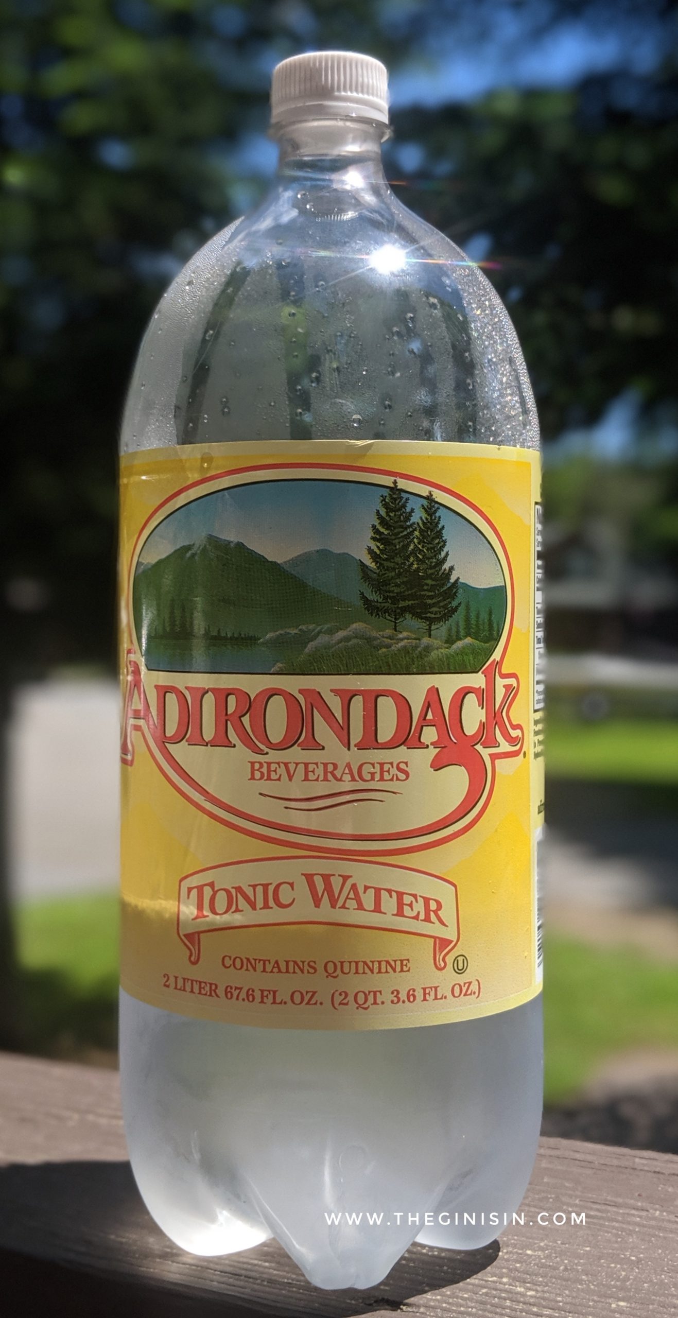 Adirondack Tonic Water Review And Rating The Gin Is In