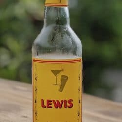 Lewis Spirit Drink Bottle
