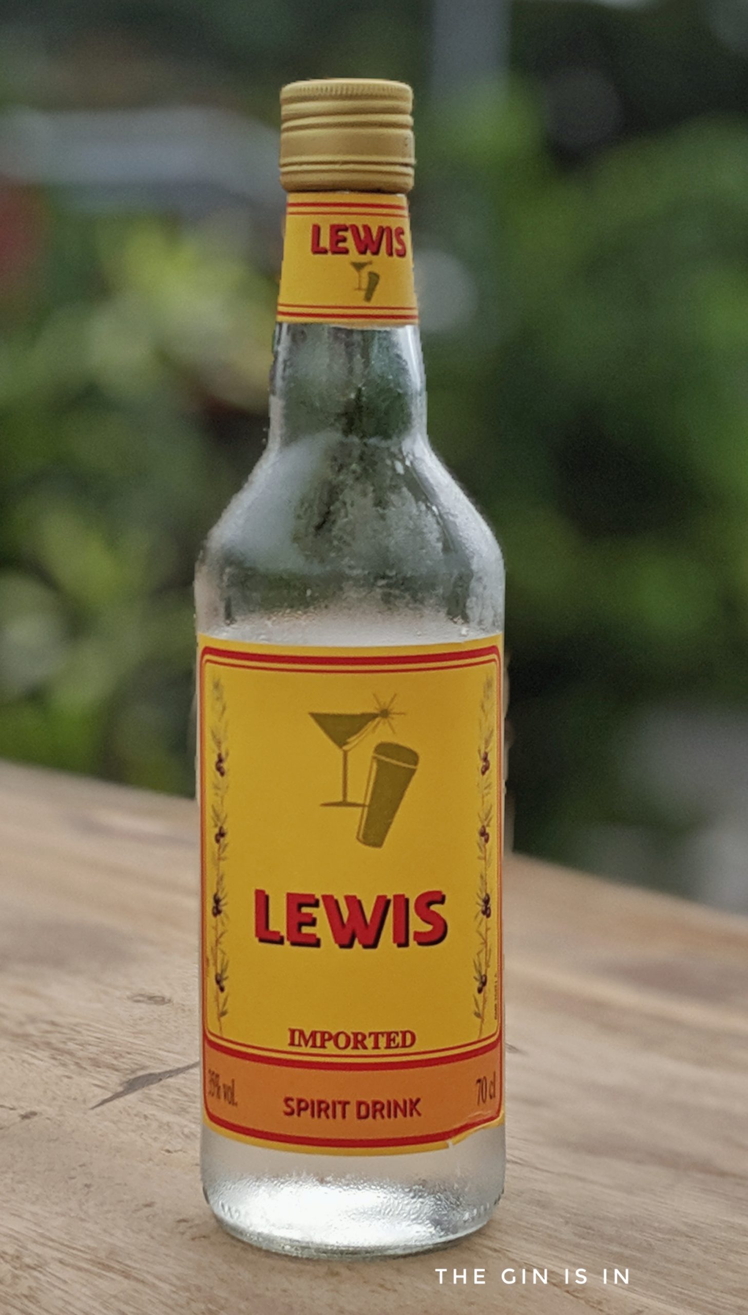 Lewis Spirit Drink Expert Gin Review and Tasting Notes