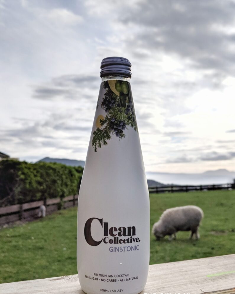 Clean Collective Gin and Tonic