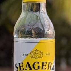 Seager's Classic Lemon Gin and Tonic