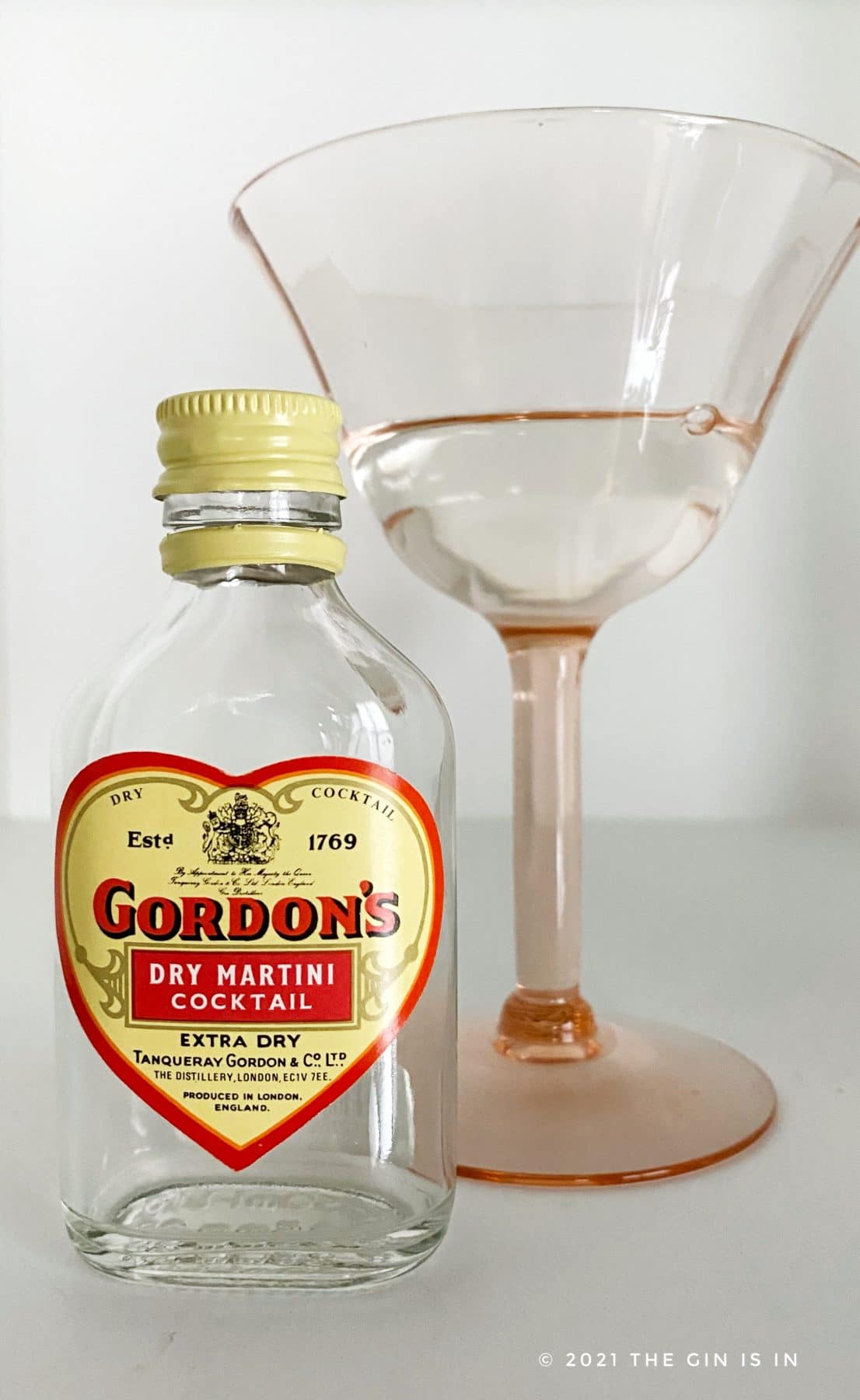 Gordon's Dry Martini Cocktail RTD Review and Tasting Notes