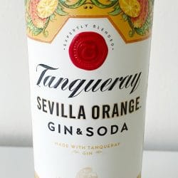 Tanqueray Sevilla Orange Gin and Soda