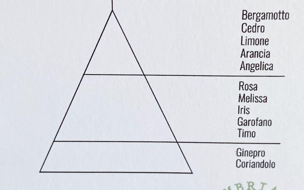 Olfactory Pyramid 4312 Gin