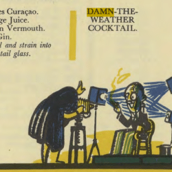 Damn the Weather (excerpted from The Savoy Cocktail Book)