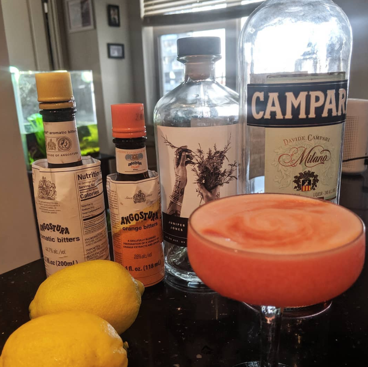 Campari Sour Cocktail and Gin