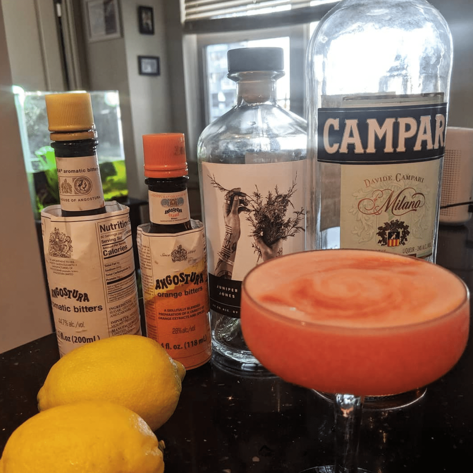 Campari Sour Cocktail and Gin