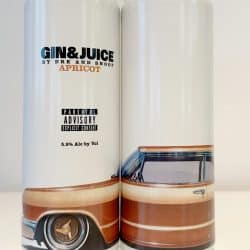 Gin and Juice Apricot Cans